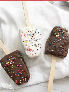 cropped-popsicle-treat-dessert-recipe.png