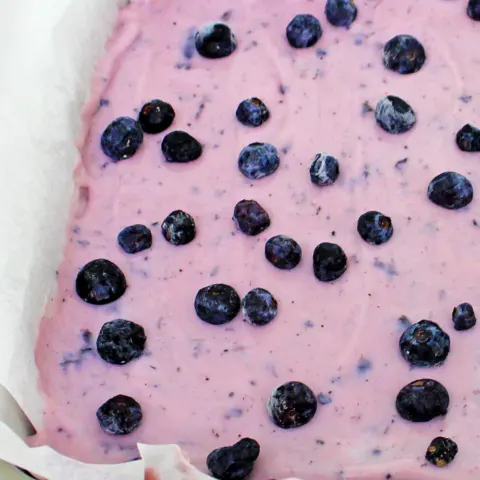 blueberry yogurt and crunchy granola make a delicious and healthy breakfast recipe