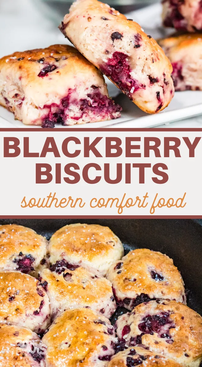 blackberries and biscuits make this southern breakfast treat