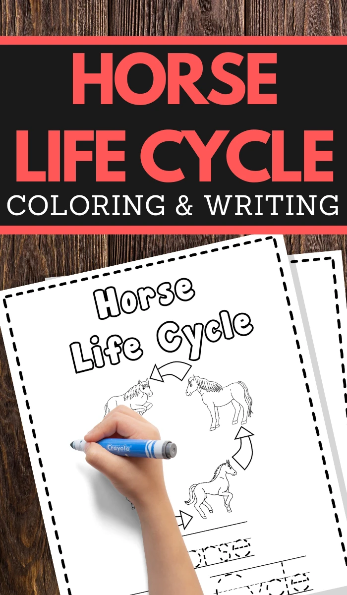 help your young children learn the life cycle of a horse while practicing pencil grip handwriting and fine motor