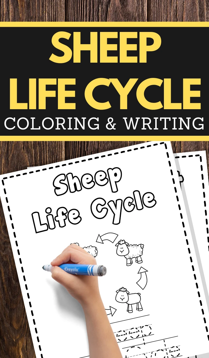 help your young children learn the life cycle of a sheep while practicing pencil grip handwriting and fine motor