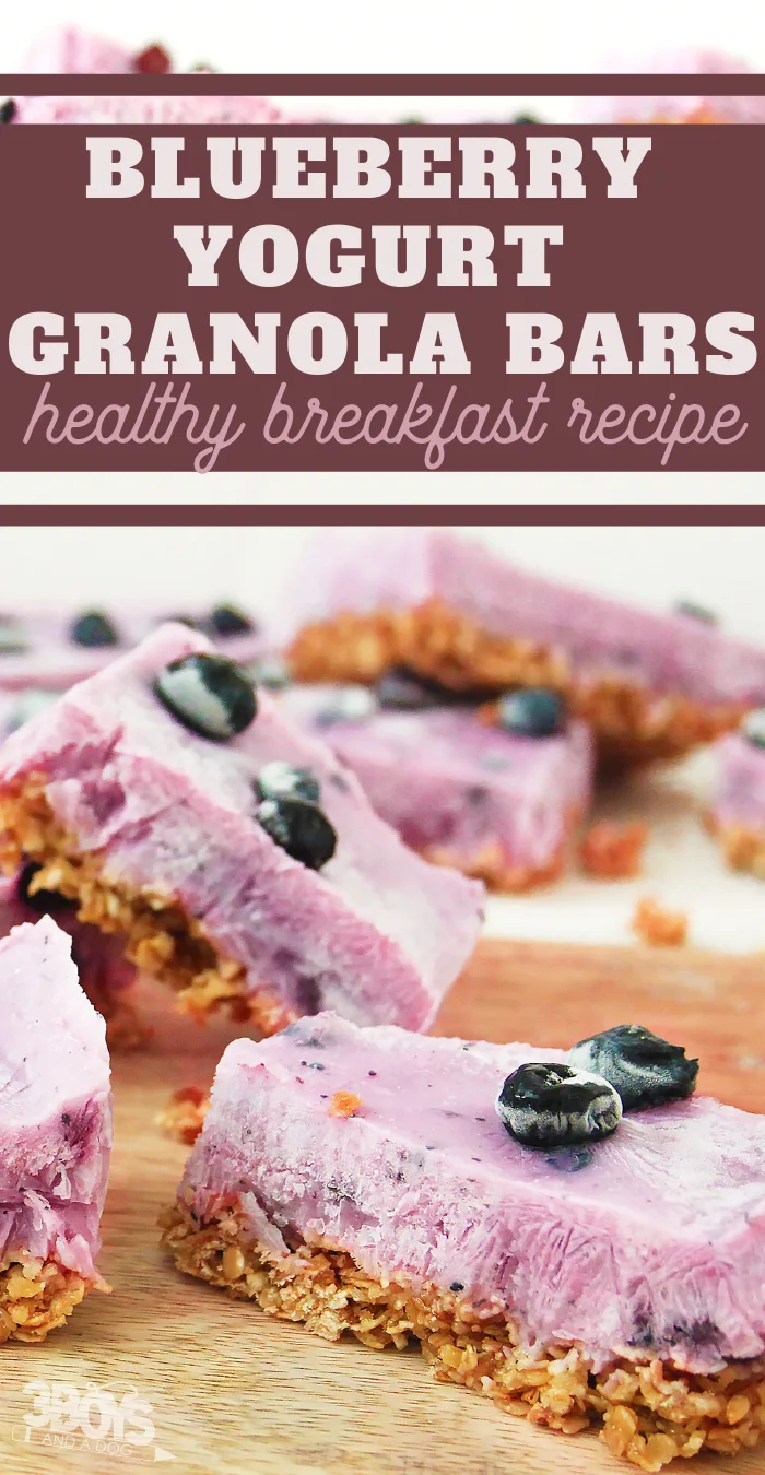 easy blueberry breakfast bars recipe
