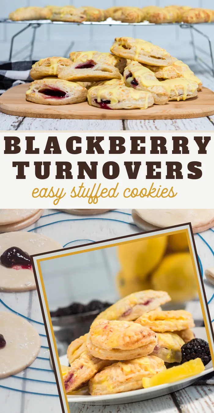 Simple and Easy Homemade Blackberry Turnover Cookies Recipe