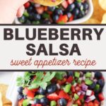 healthy vegetarian blueberry salsa recipe
