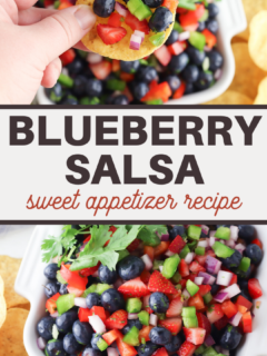 healthy vegetarian blueberry salsa recipe