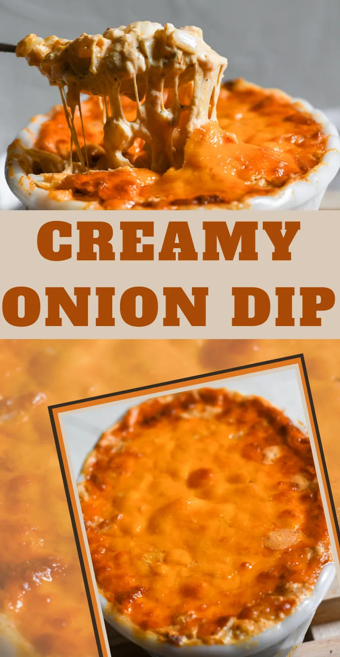 dip recipe with spices and cheeses and caramelized onions
