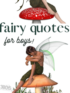 cropped-easy-to-memorize-fairy-quotes-for-boys.png
