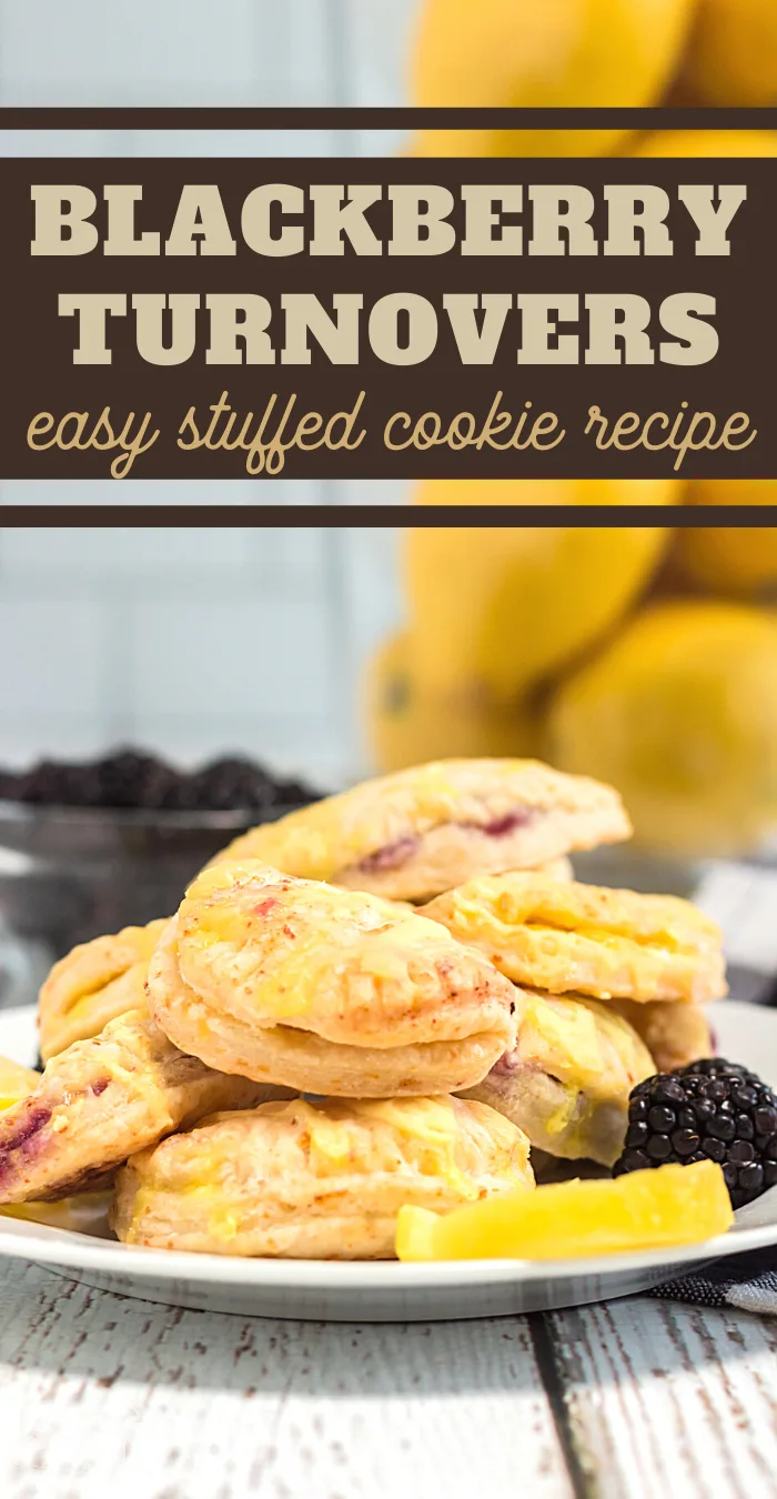 simple blackberry cookies