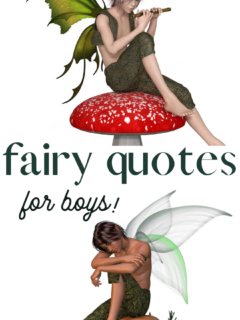 quotes about faeries for boys