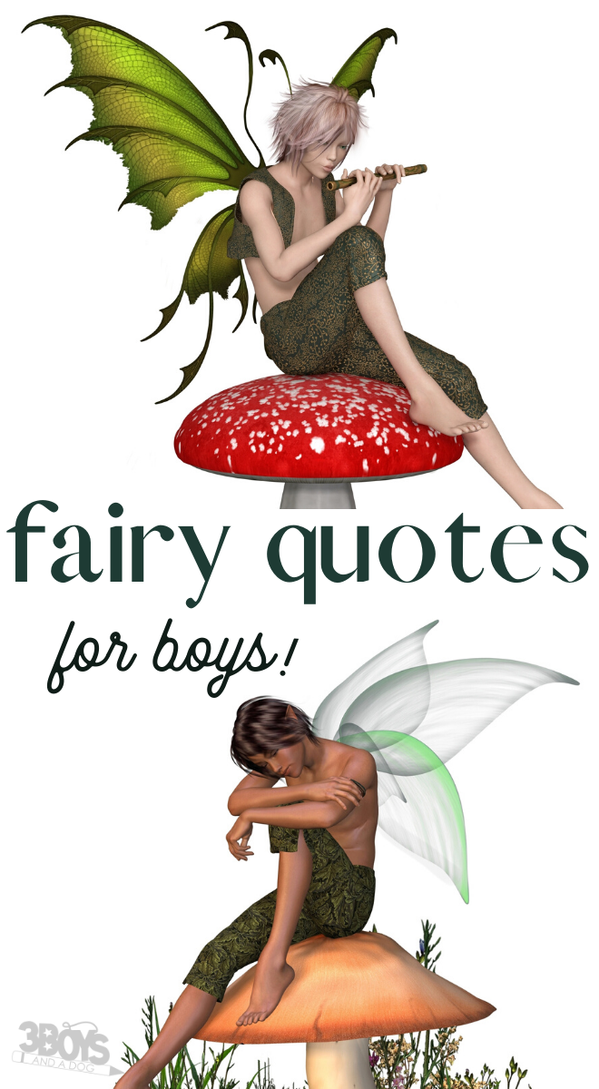 quotes about faeries for boys