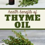 thyme essential oils are super healthy find out all the benefits here