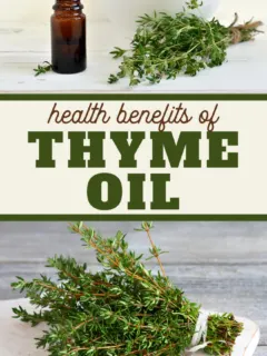 thyme essential oils are super healthy find out all the benefits here