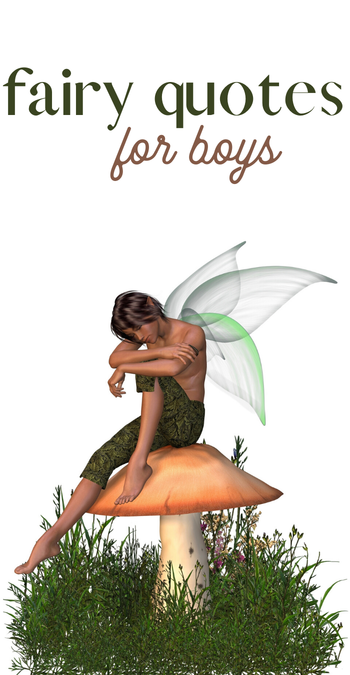 quotes about fairies that are perfect for boys