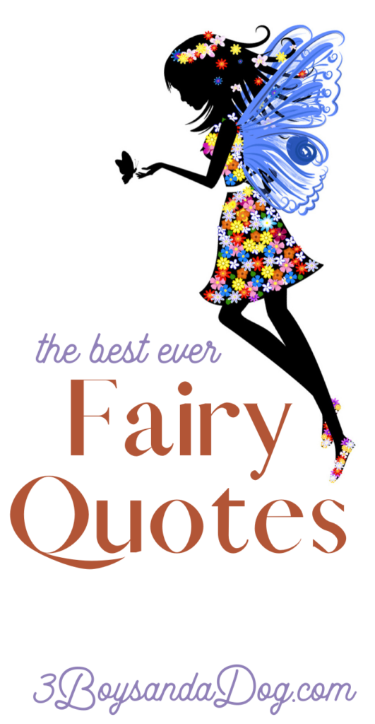 The Absolute Best Fairy Quotes 3 Boys and a Dog