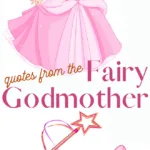 fairy godmother quotes