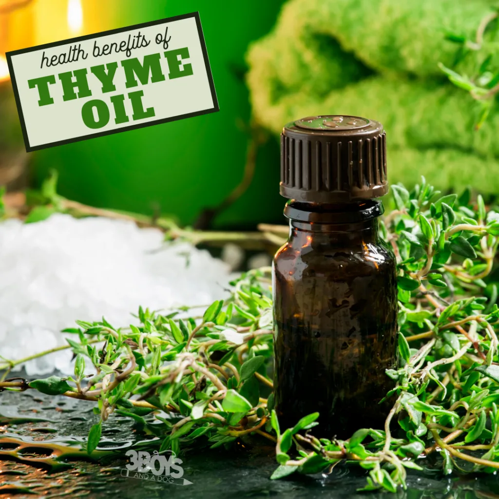 recipes and tips for the getting the most out of your thyme essential oil