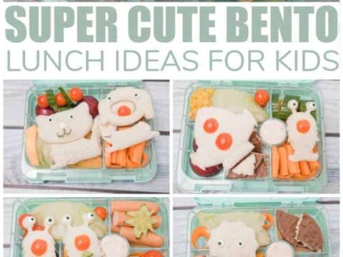 Image for Lunch Box Ideas For Toddlers And School Kids