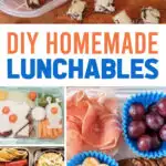 DIY Homemade Lunchables for Kids