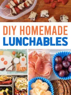 DIY Homemade Lunchables for Kids