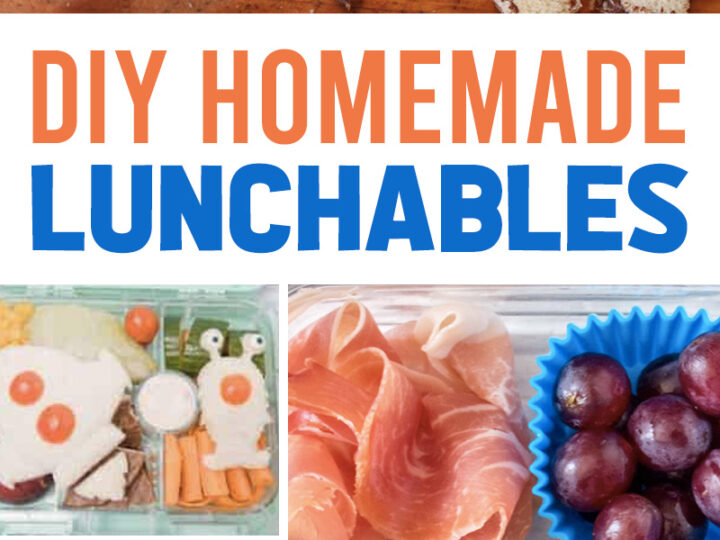 DIY Homemade Lunchables for Kids
