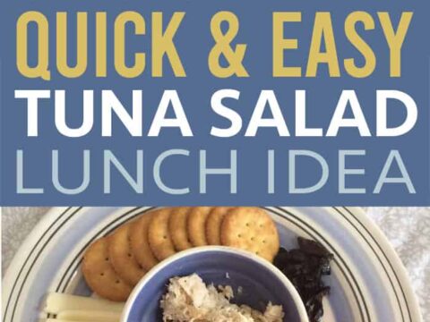 Image for Easy Tuna Salad Lunch for Kids