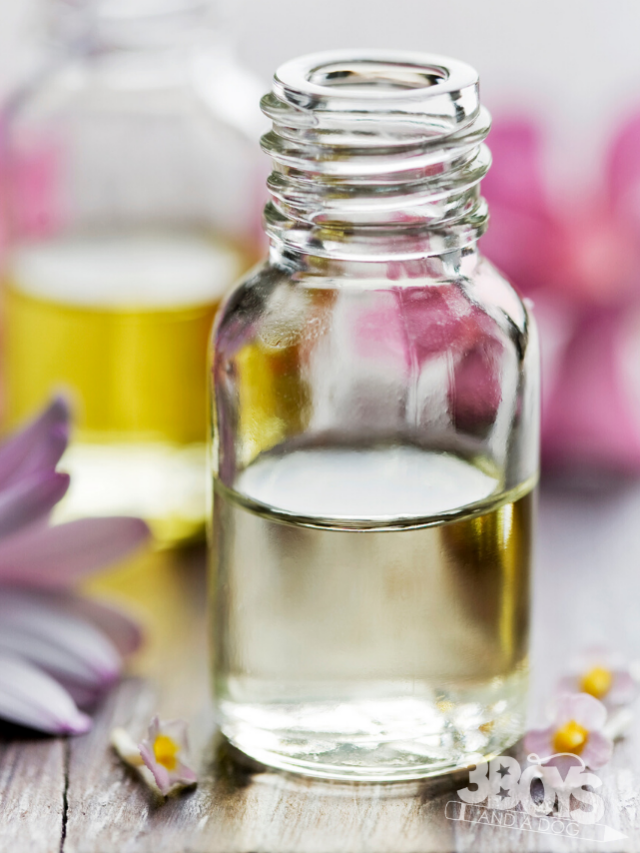 Best Carrier Oils to Dilute Essential Oils Story