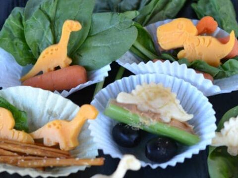 Image for Dinosaur Bento Lunch Idea