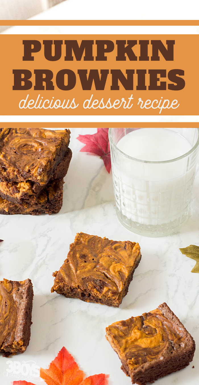 wow your family with the delicious fall flavors of this swirled pumpkin and chocolate brownie recipe