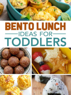 best bento lunch box ideas for toddlers