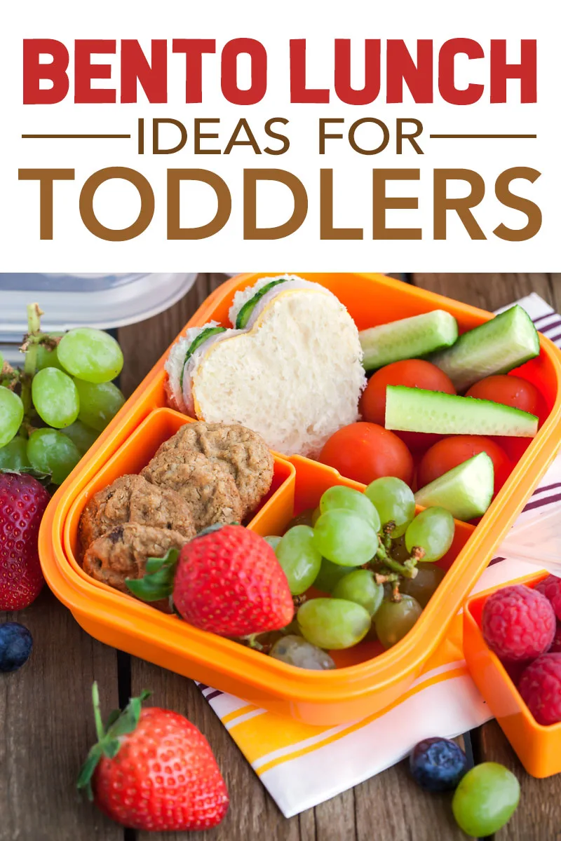 bento lunch ideas for toddlers