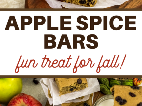 spice bars with raisins