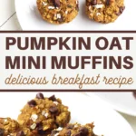 how to make healthy pumpkin and oats bite sized muffins at home
