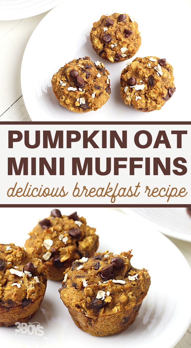 how to make healthy pumpkin and oats bite sized muffins at home