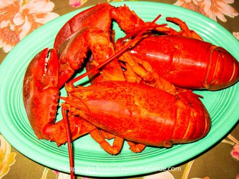 Image for Massachusetts Lobster Roll Recipe