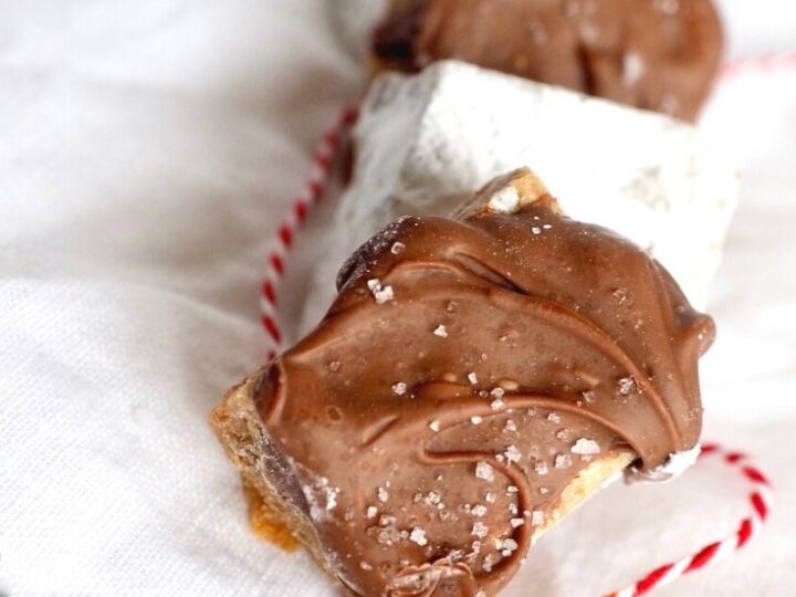 Image for Salted Chocolate Graham Bites