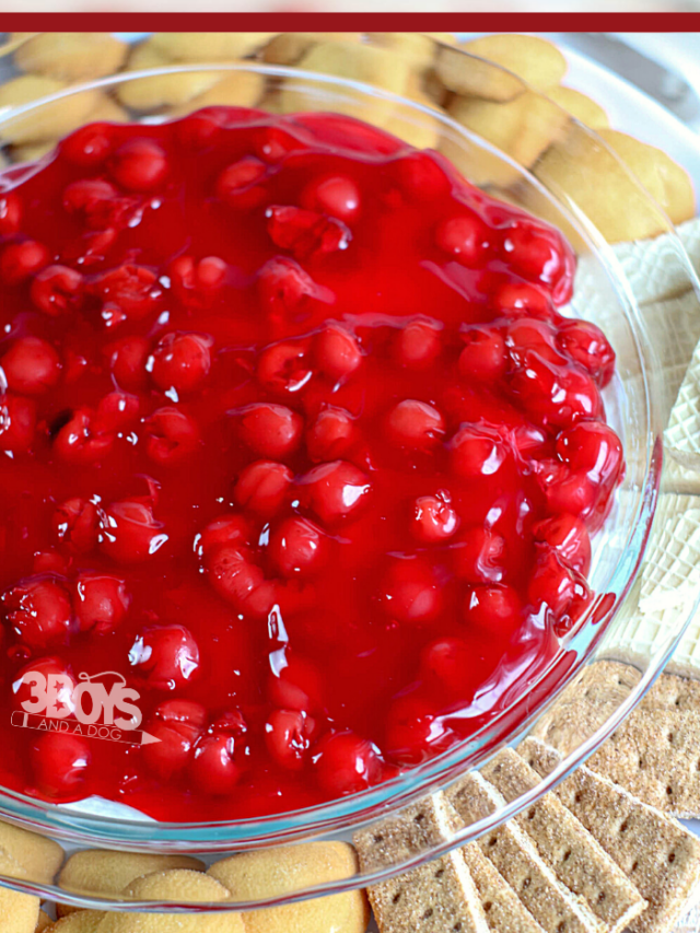 Crazy Good Cherry Cheesecake Dip Recipe Story