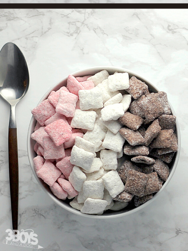 Flavorful Neapolitan Puppy Chow Recipe Story