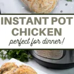 instant pot fryer chicken recipe