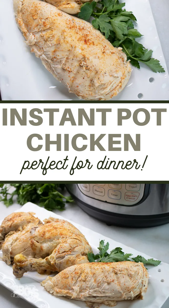 instant pot fryer chicken recipe