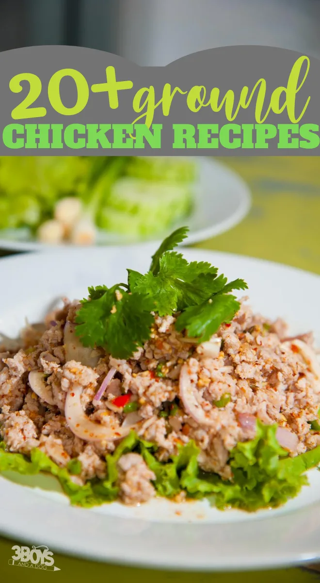 20 Ground Chicken Recipes To Make For Dinner (2)