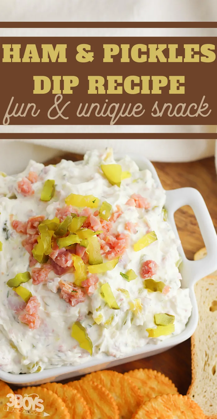 salty and tangy dip recipe perfect for game night or tailgating