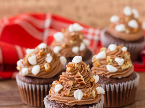 delicious chocolate cupcakes with marshmallows