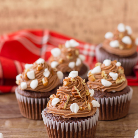 delicious chocolate cupcakes with marshmallows