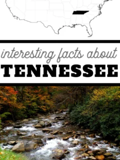 interesting facts about Tennessee