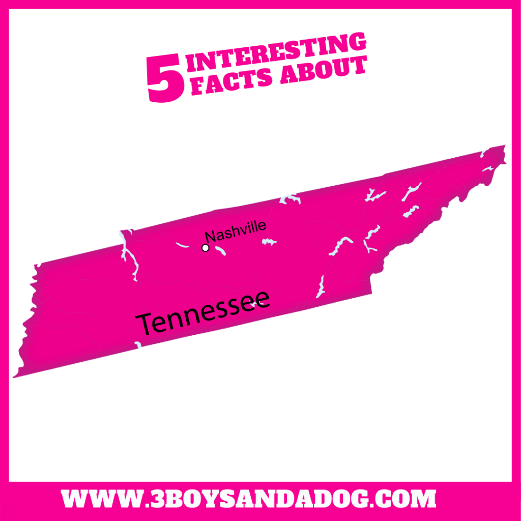 state unit study about Tennessee