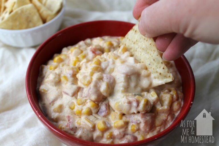Crock pot creamy corn dip with Rotel