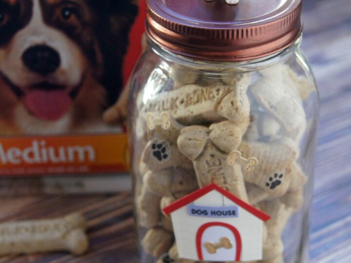 Image for DIY Craft Idea: Dog Treat Jar