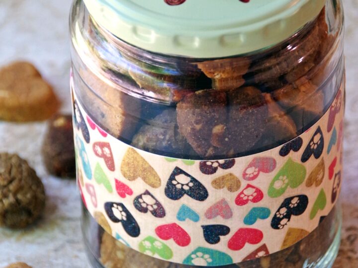Image for Upcycled Dog Treats Jar to Keep Fido’s Treats Fresh!