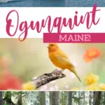 Kid Friendly Places to Visit in Ogunquit, Maine