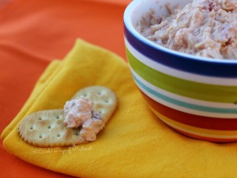 Image for Cheesy Bacon Onion Dip in the Crockpot